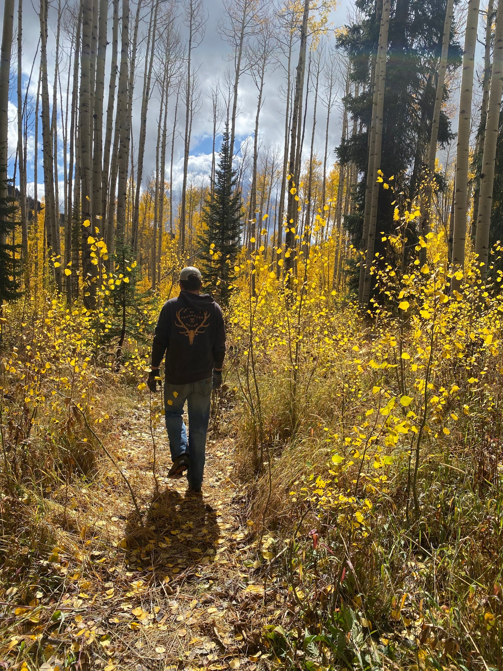 How to Tap an Aspen Tree