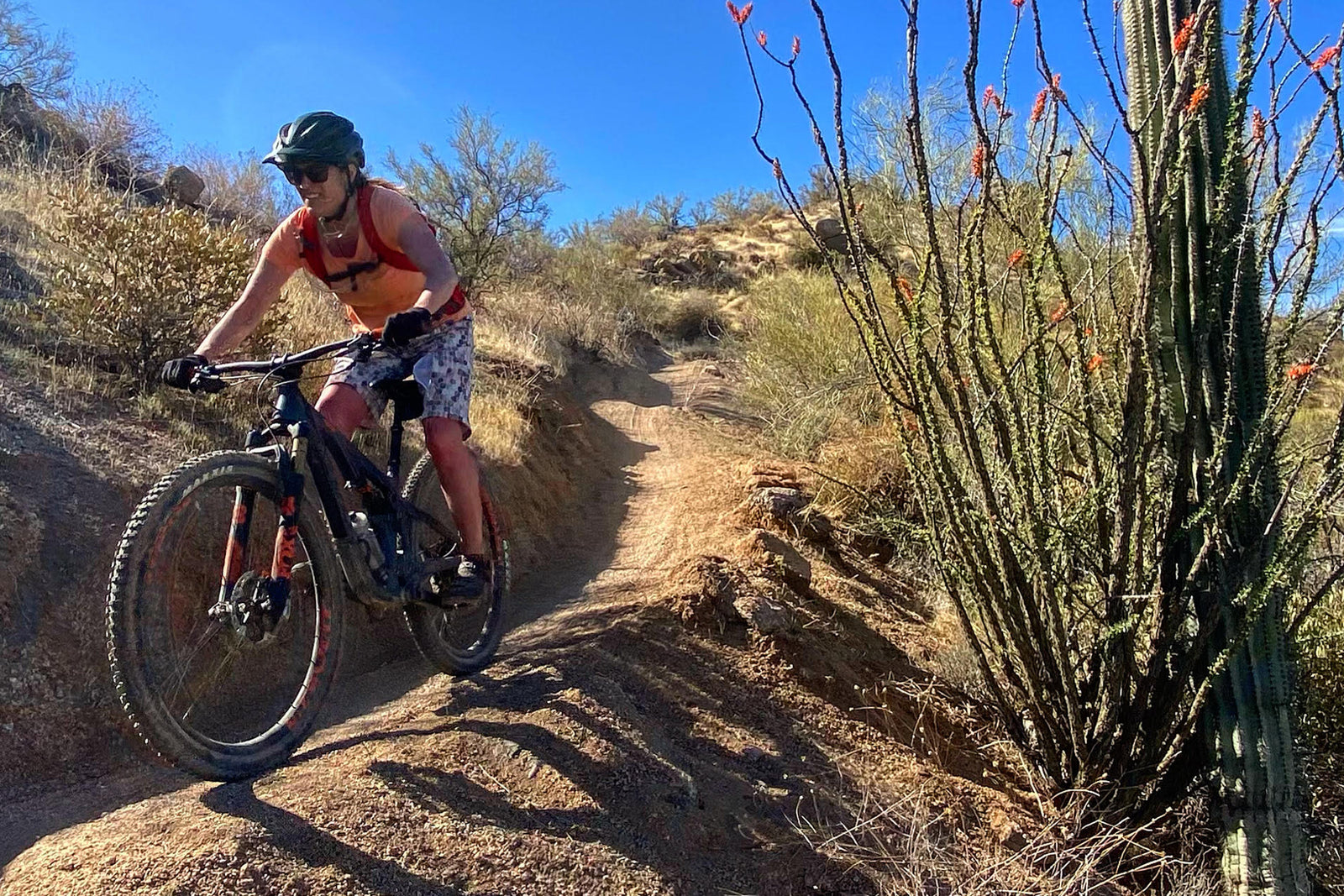 What is "Off-Season"?