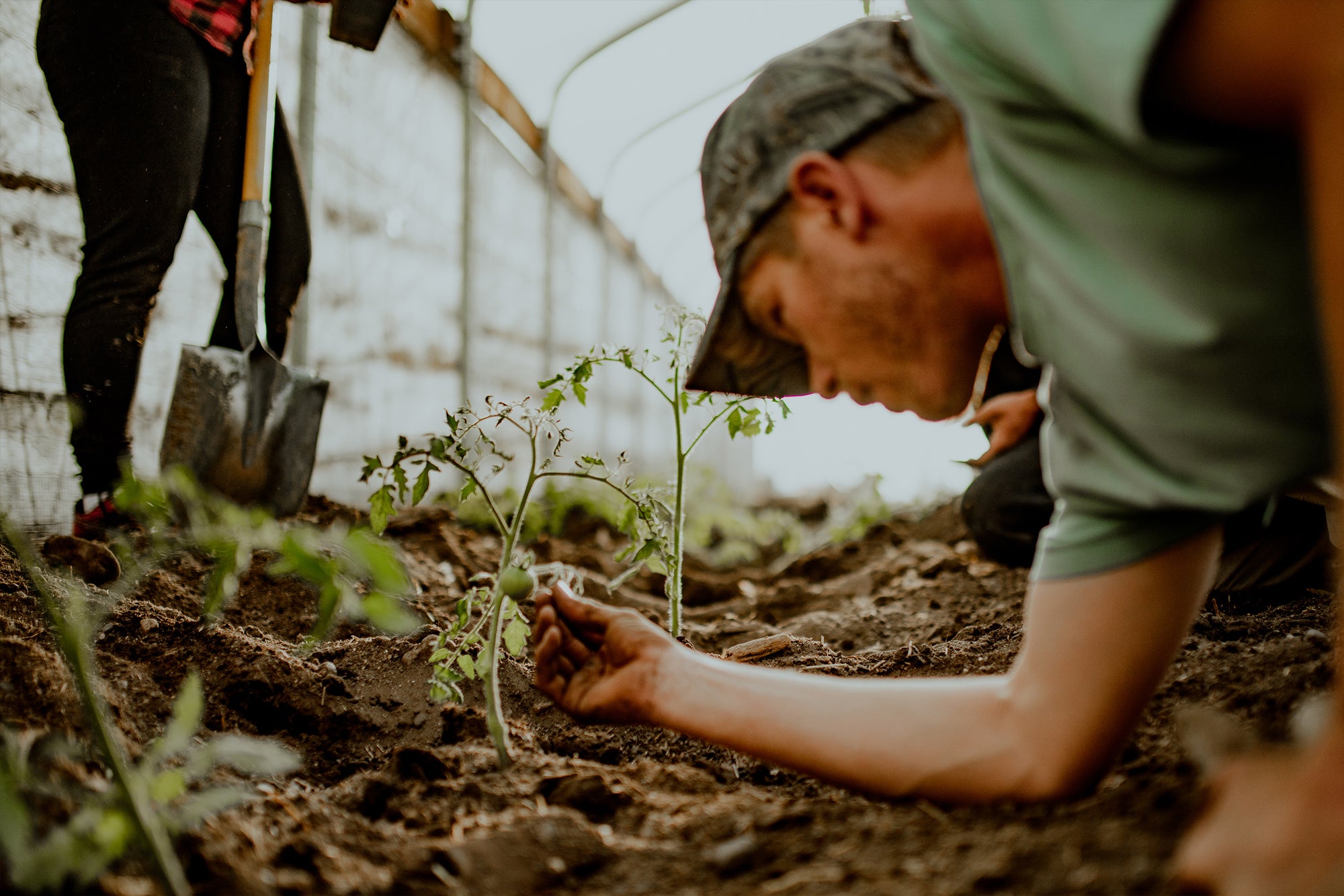Farming with Purpose: Meet Mountain Roots - Chopwood Mercantile