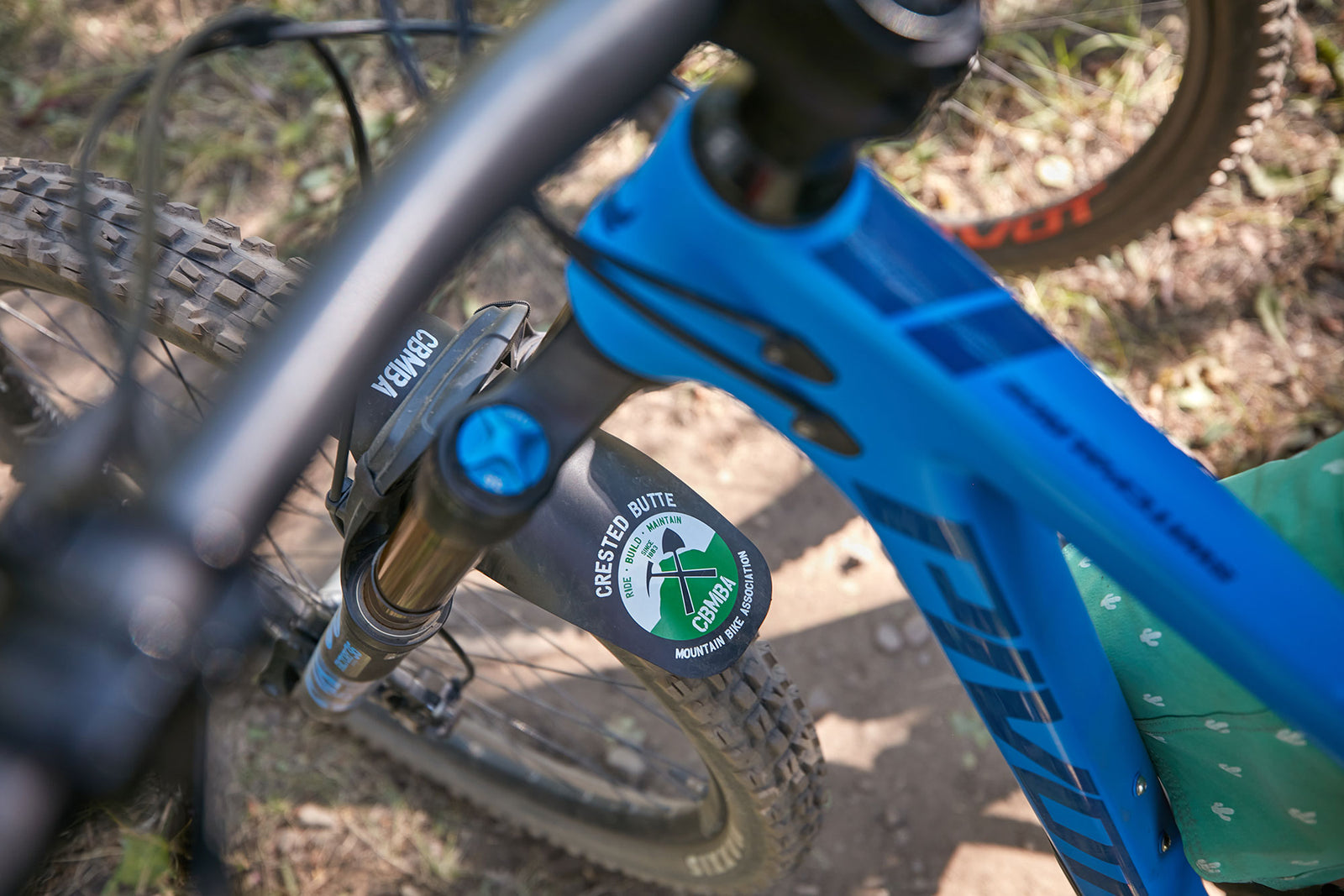 Catching Up with Crested Butte Conservation Corps