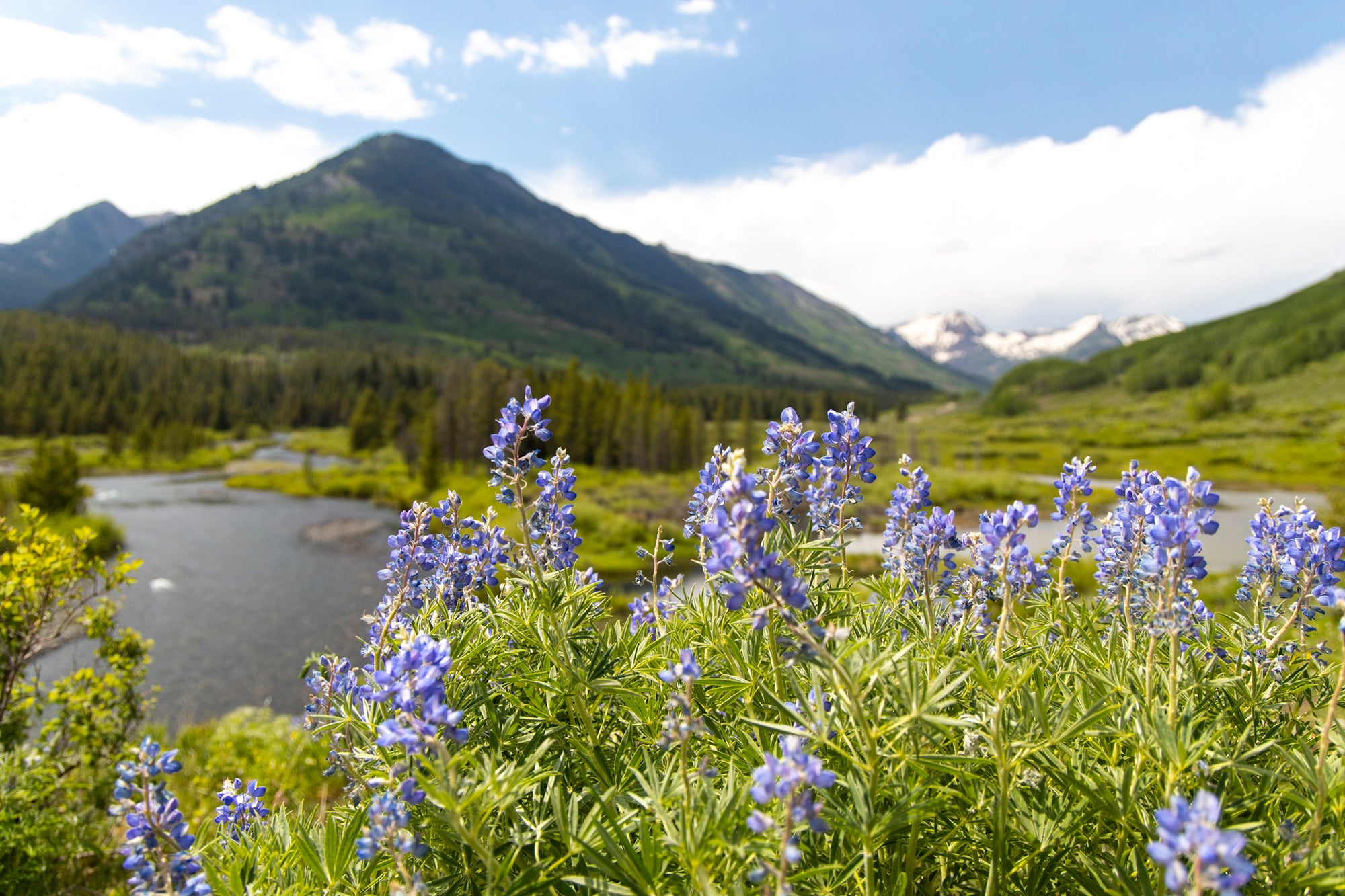 How to Volunteer in Crested Butte this Year
