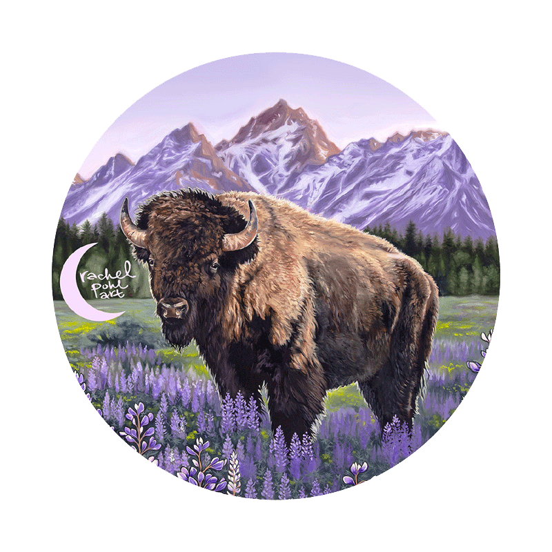 Noso Rachel Pohl Purple Bison