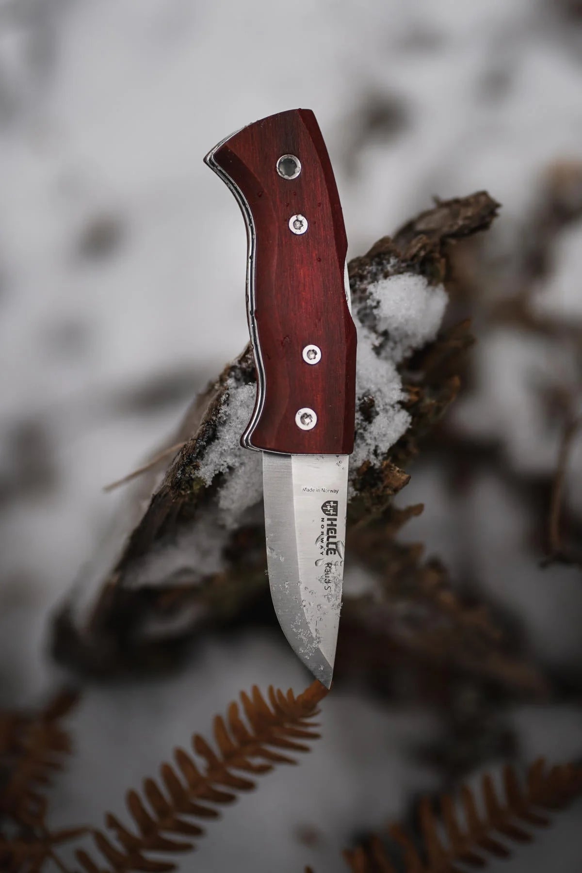 Raud S Folding Knife